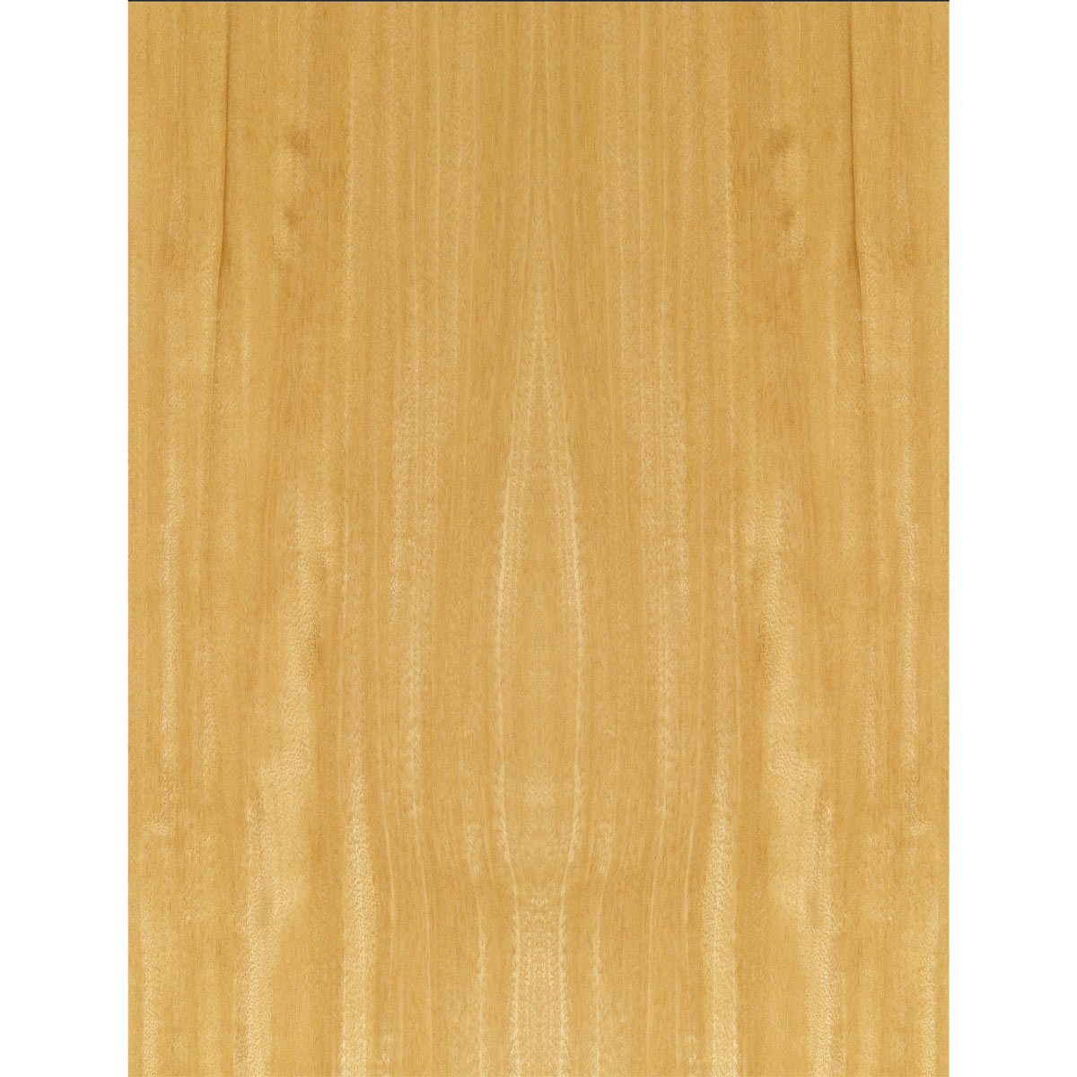 Chapa natural de IROKO