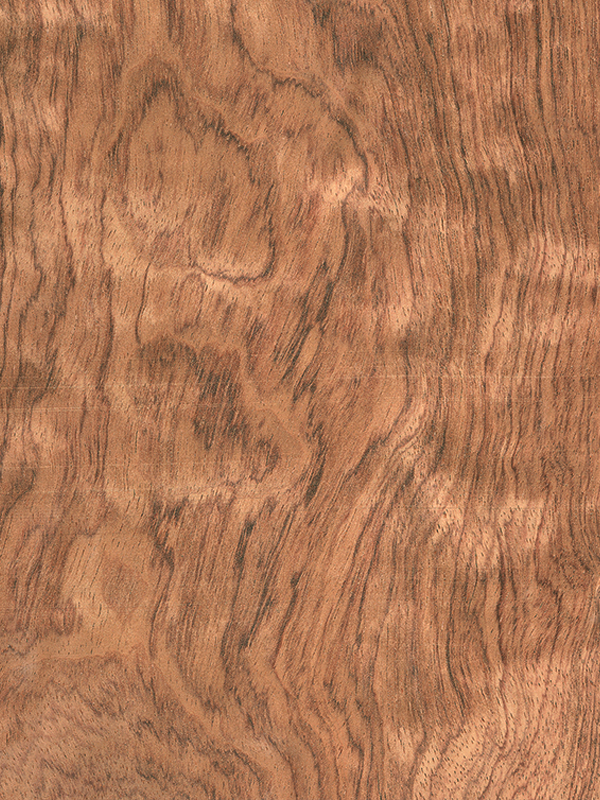 Chapa natural de BUBINGA POMELE