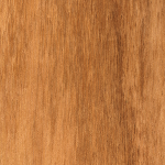 Chapa natural de HUANACAXTLE/PAROTA panel AA