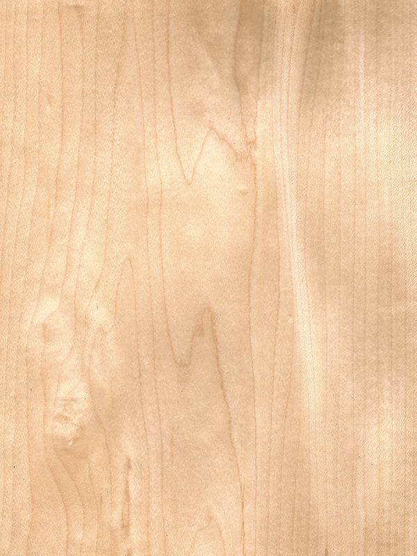 Chapa natural de MAPLE