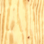 Chapa natural de PINO AMERICANO quarter