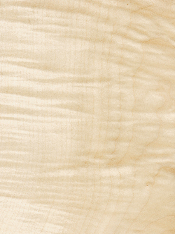 Chapa de madera de Sicomoro frisado | m2