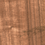 CHAPA NATURAL DE TZALAM