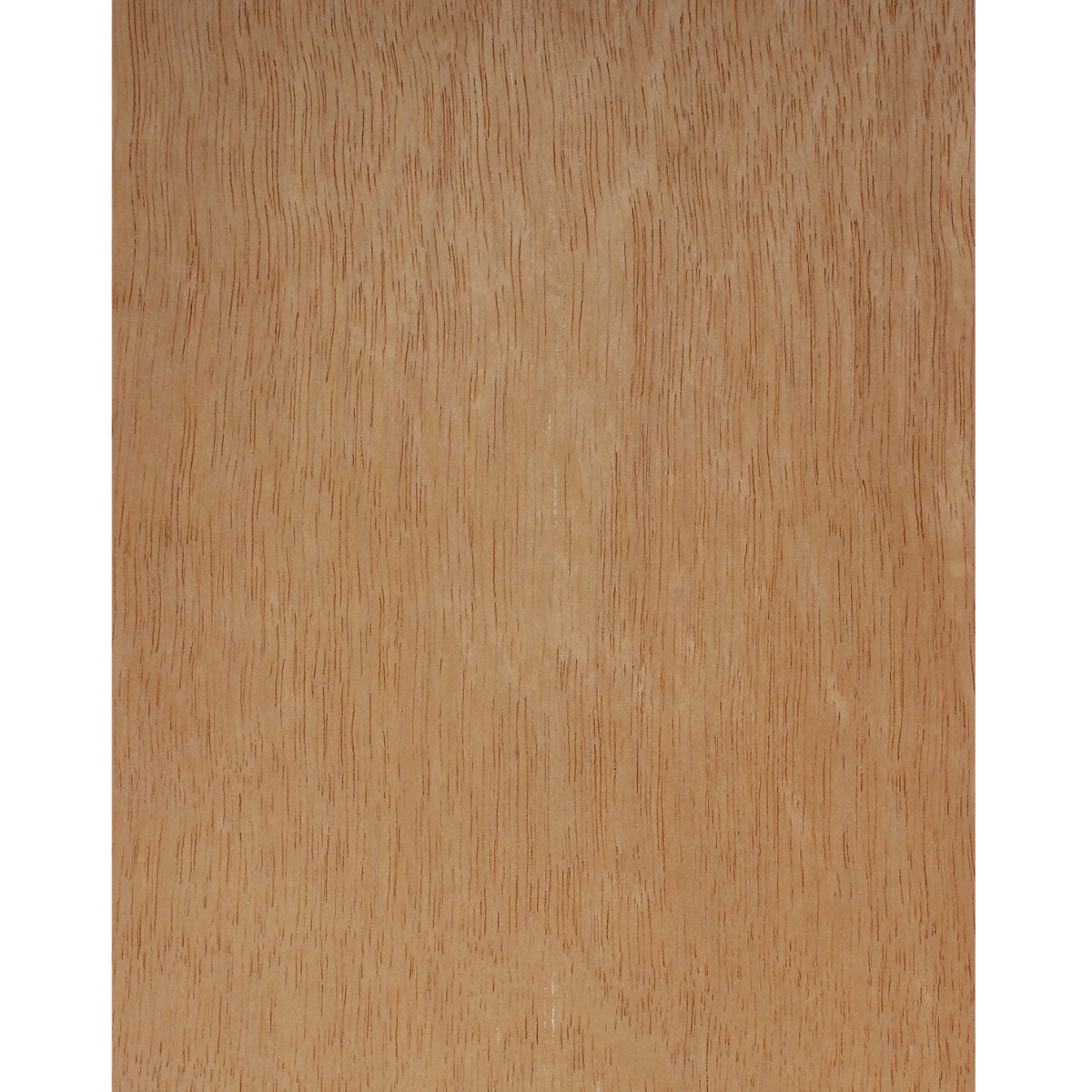 Chapa natural de CURUPIXA AB.