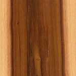 Chapa natural de  HUANACAXTLE  PAROTA