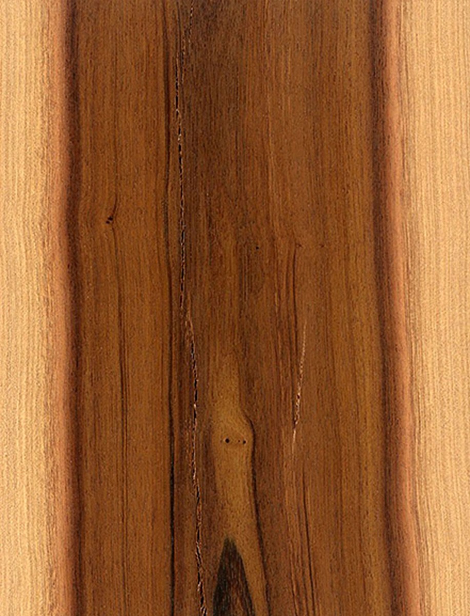 Chapa natural de  HUANACAXTLE  PAROTA