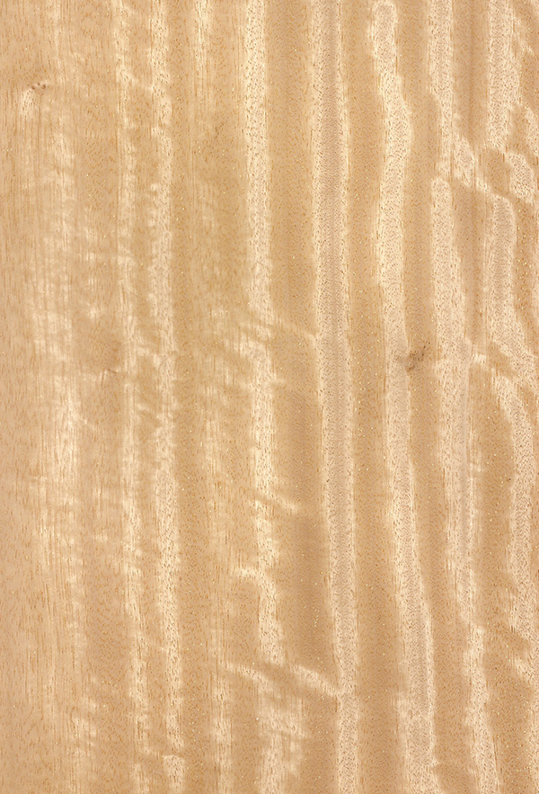 Chapa de madera de Movingui | m2