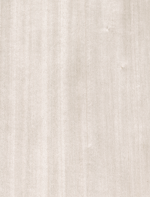 Chapa natural entintada de TAY PUREZZA